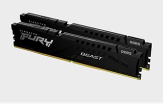Kingston FURY DDR5 5600MHz (2x32GB) CL40